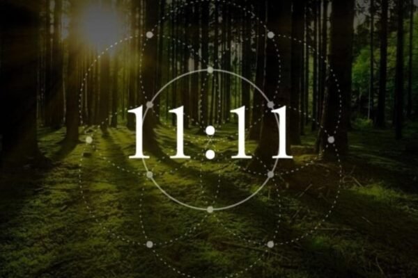 11/11 Singles Day: 4 Powerful Steps To Show The Love You Deserve And Attract Your Perfect Match!