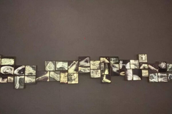 Mixed media in the visual arts; A transformative exhibition – Times of India