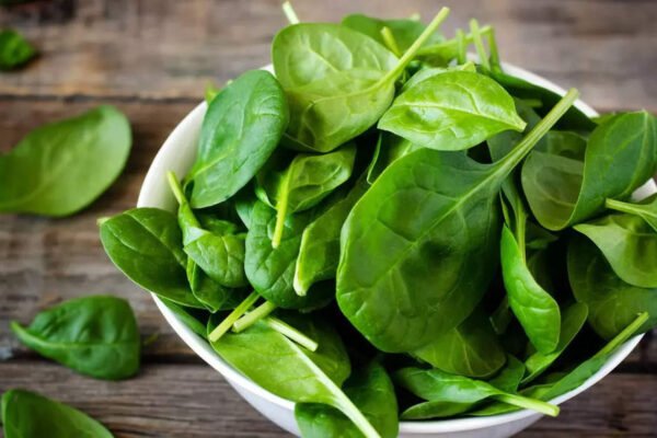 Eating spinach the right way: Increase your iron and vitamin intake in 5 healthy ways – Times of India