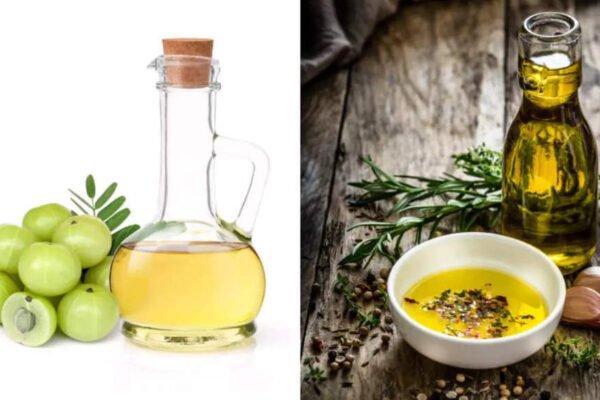 Amla Oil Vs Rosemary Oil: Which Is The Best Oil For Winter Hair Growth? – Times of India