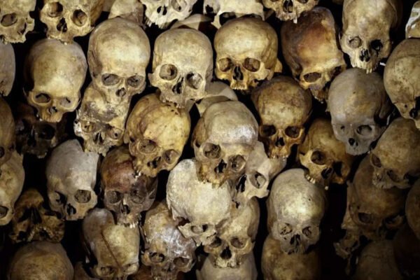 Kolkata’s dark past when it exported thousands of human skeletons and those corpses were… – Times of India