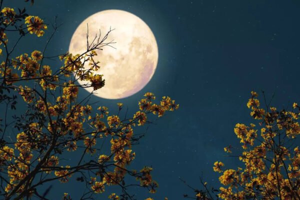 From Wolf Moon to Blood Moon: 11 Full Moons and What They Mean
