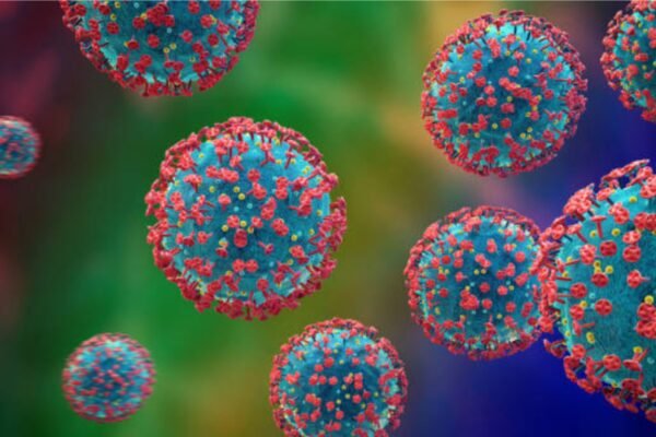 HMPV in India: ‘HMPV not a threat’: Health experts urge 7 HMPV cases reported in India in 2 days | – Times of India