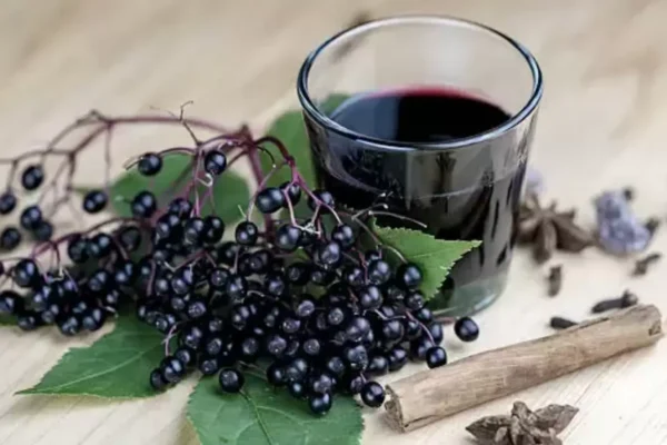 Elderberry Juice: The New Superdrink for Faster Fat Burning, Better Gut Health and Blood Sugar