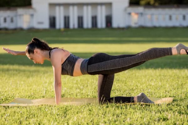 Exercise for birds: Know how to do it for balance and strong core