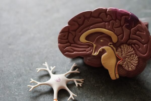 A blood test shows the promise of early detection of dementia: a study