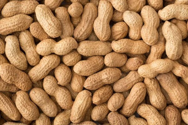 Can peanuts treat peanuts in adults? | – India’s times
