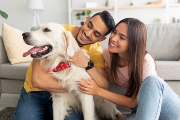 Is it proper to collect a pet together like a couple? That’s all you need to know if you are if you put it