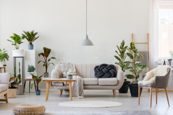 Your rental home looks soft? Decoring tips to give your house a person without breaking the rules