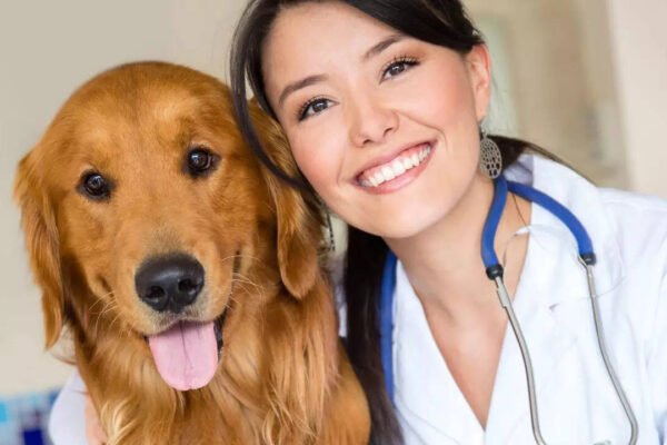 From Labrador -Retrier to Bigl: 5 common health problems and diseases of popular dog breeds.