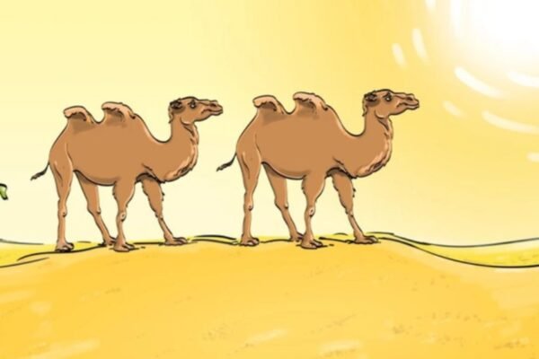 Optical illusion: Only a genius can find an error in this desert camel! – India’s times