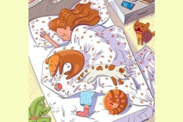 Optical illusion: Only 2% of people may notice the bees in the bedroom of this girl – the times of India