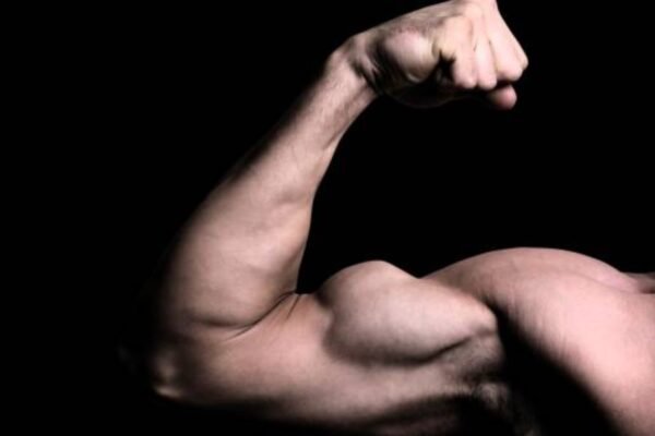 What is creatine?: When is the best time to take creatine? | – India’s times