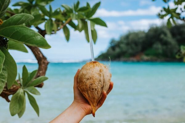 Do you feel warm? A nutritionist shares 7 refreshing foods that naturally cool your body in the summer