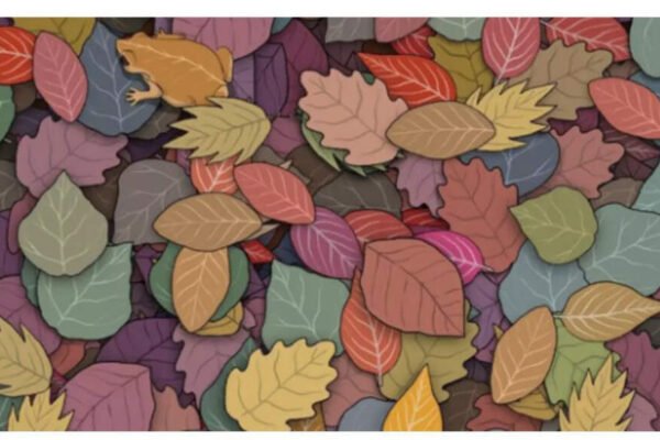 Optical illusion: Do you think you have sharp vision? Note the frog in this image for less than 5 seconds! – India’s times