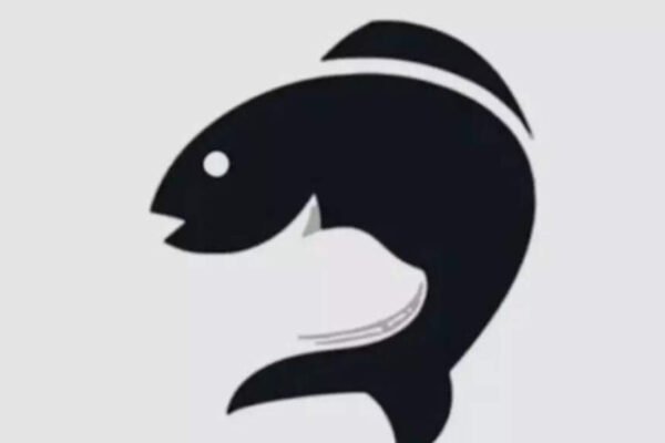 Optical illusion of face testing: fish or cat? What you see for the first time can instantly reveal if you are emotionally guarded or open – India’s times