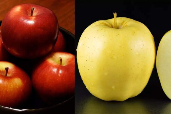 From Fuji to Honeycrisp: Here’s how different types of apples got their names | – India’s times