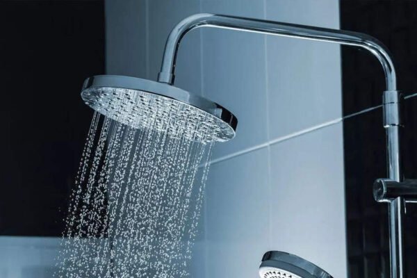 Morning or night showers? The microbiologist reveals if you really have to shower | – India’s times