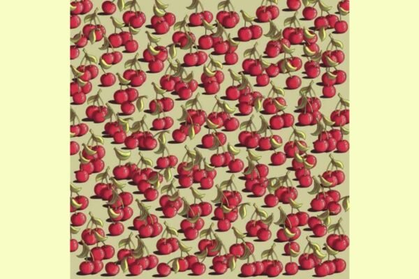 Optical illusion: Only one that with the most sharp eyes can notice the tomato among cherries | – India’s times
