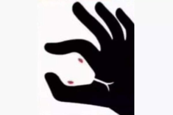Optical illusion of face test: snake or hand? What you see for the first time shows if you are kind or seeking revenge | – India’s times