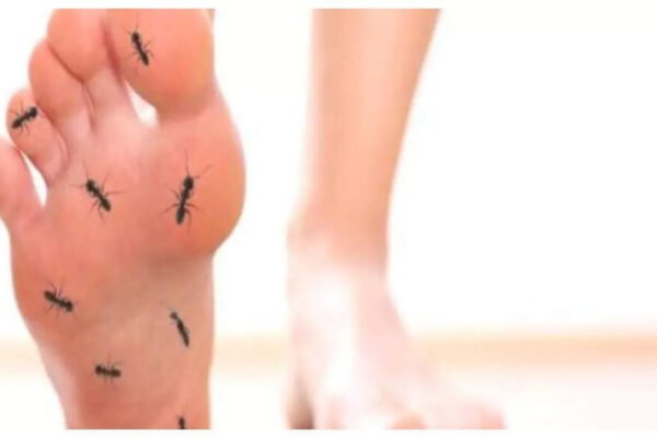 Studs and needles all over the body? That’s what it means – India’s time