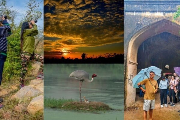 Delhi Musson: Rain, Poetry and Birds are on the radar of heritage this season; Ready to soak in the mood?