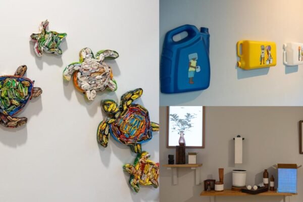 World Environment Day This Permanent Exhibition in Delhi’s Sacket has artistic to take on the environment
