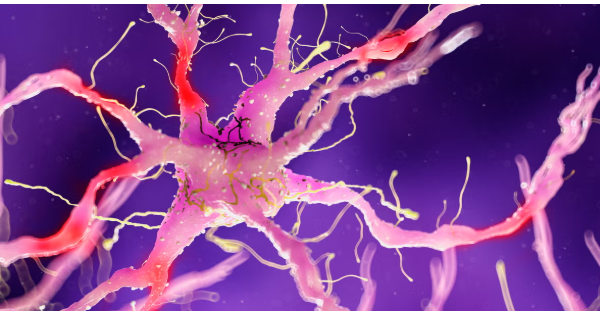 Symptoms of nerve damage: 5 nerve damage in the body