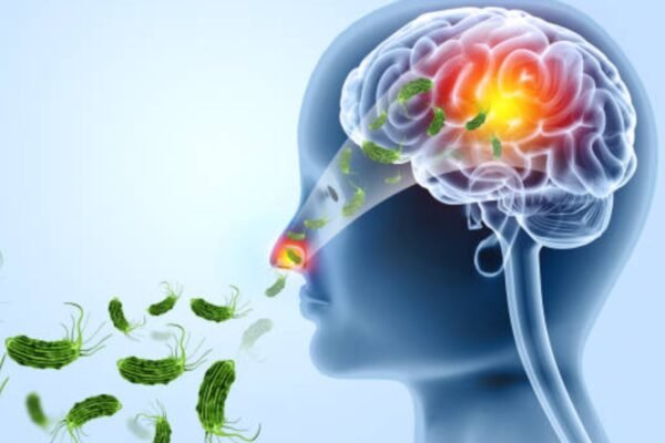 The brain eats amoeba: How warm weather fueled this silent threat | – India’s times
