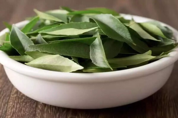 Curry leaves: 10 powerful health benefits, medicinal use and how to consume them | – India’s times