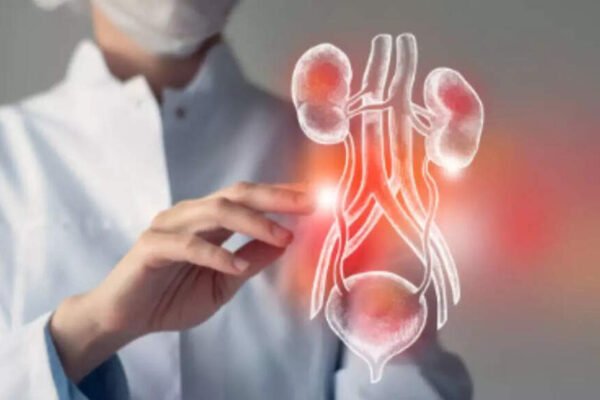3 products that can improve kidney function – India’s times