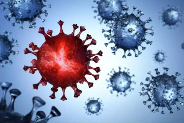 Shocal discovery: General stomach bacteria can be associated with 12 million cancer cases | – India’s times