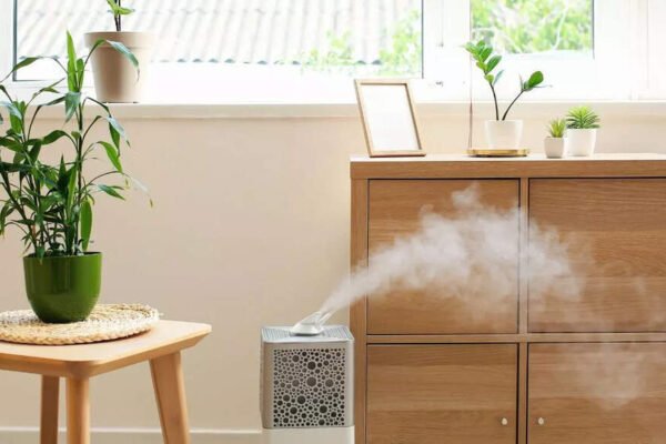 How a moisturizer can improve your health, sleep and home environment as the season changes | – India’s times