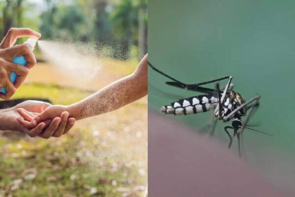Dengun and Chicungunya Prevention Tips: How to Protect yourself from Mosquito Ars | – India’s times
