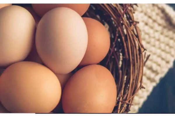 The presence of eggs only twice a week can help increase brain health and prevent it the main disease – India’s time
