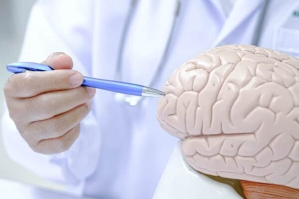 Do we only use 10% of our brain? The best neurologist bust 4 myths about the brain shares the facts