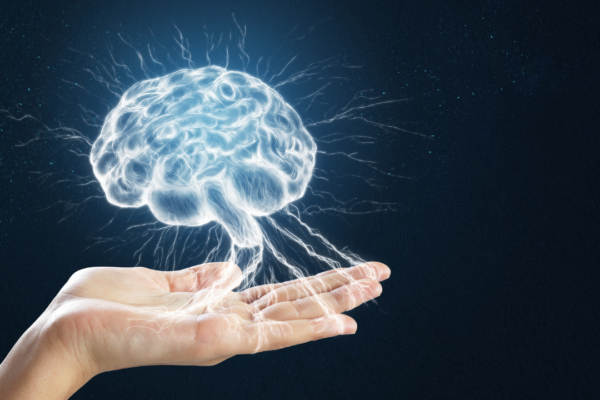 From water rosemary to chewing gum: 5 amazing ways to sharpen the brain and increase memory
