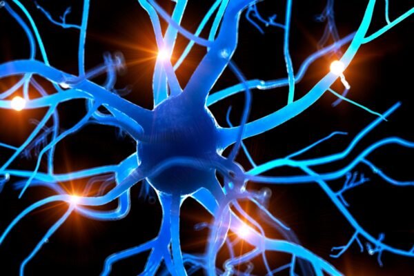 Morning rituals for the nervous system: 10 minutes can change all day – India’s time