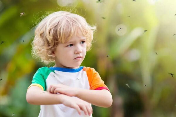 Mosquito bites: 9 effective tips to save yourself from mosquitoes | – India’s times