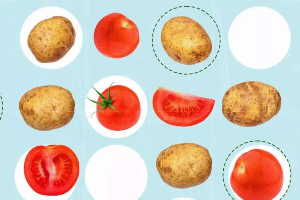 Surprisingly, the truth is: today’s potato went from a tomato plant 9 million years ago; Scientists say | – India’s times