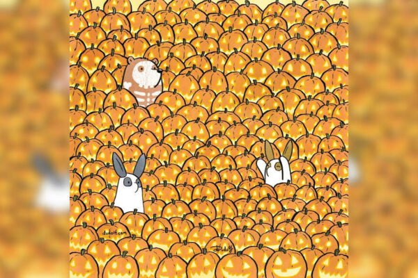 Optical illusion: Find 3 unbridled pumpkins in 9 seconds | – India’s times