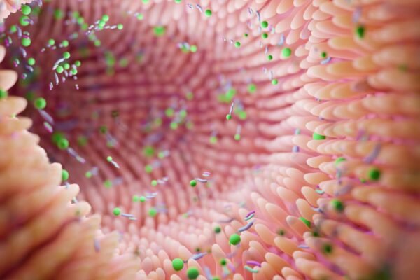Refugee: 5 early pre -emptive signs of a leaky gut syndrome that should not be ignored | – India’s times