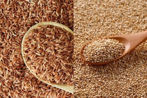 Brown rice against swan to control sugar: Which whole grain is best for diabetes management | – India’s times
